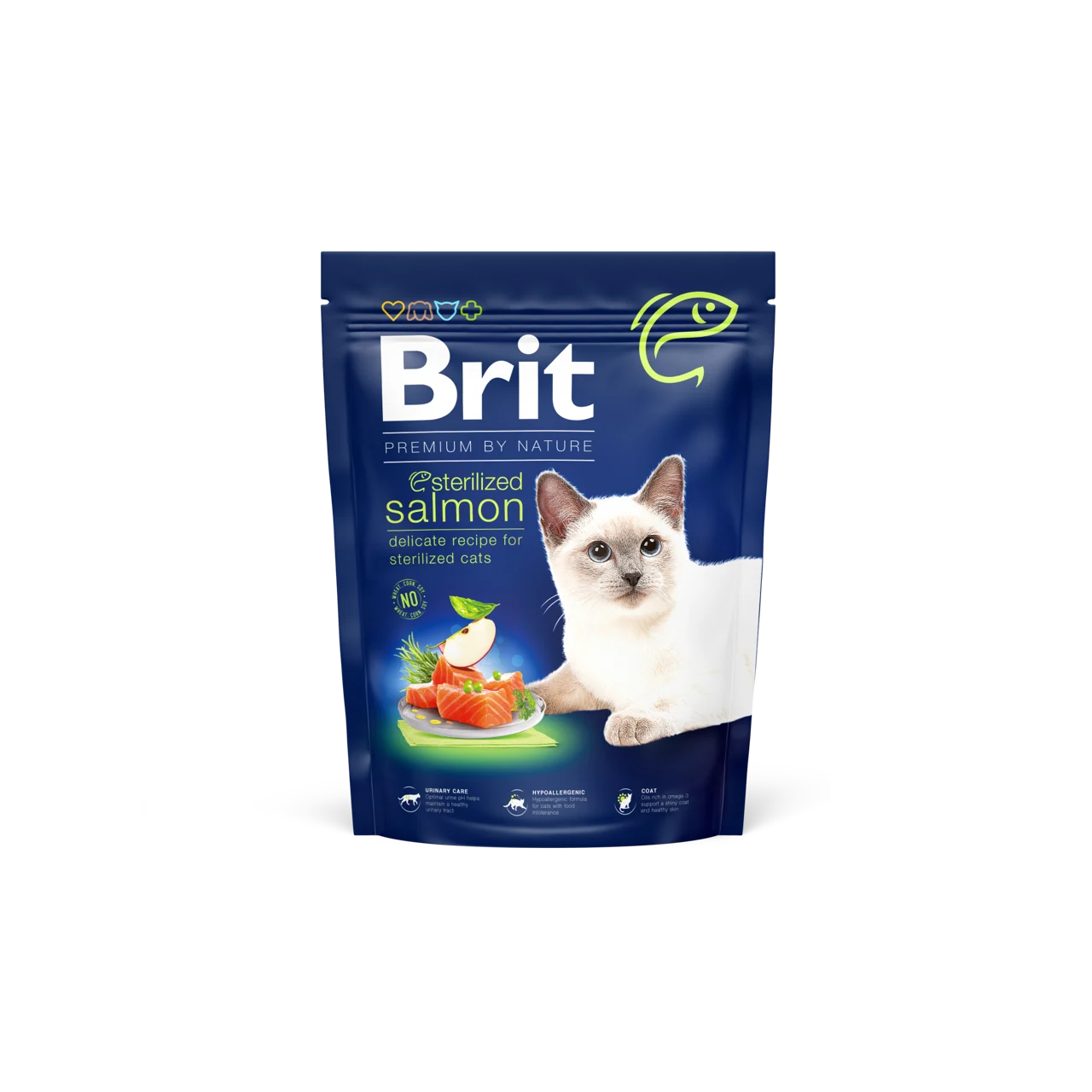 3ded64ce-d072-4999-9552-356c504a2f01.webp