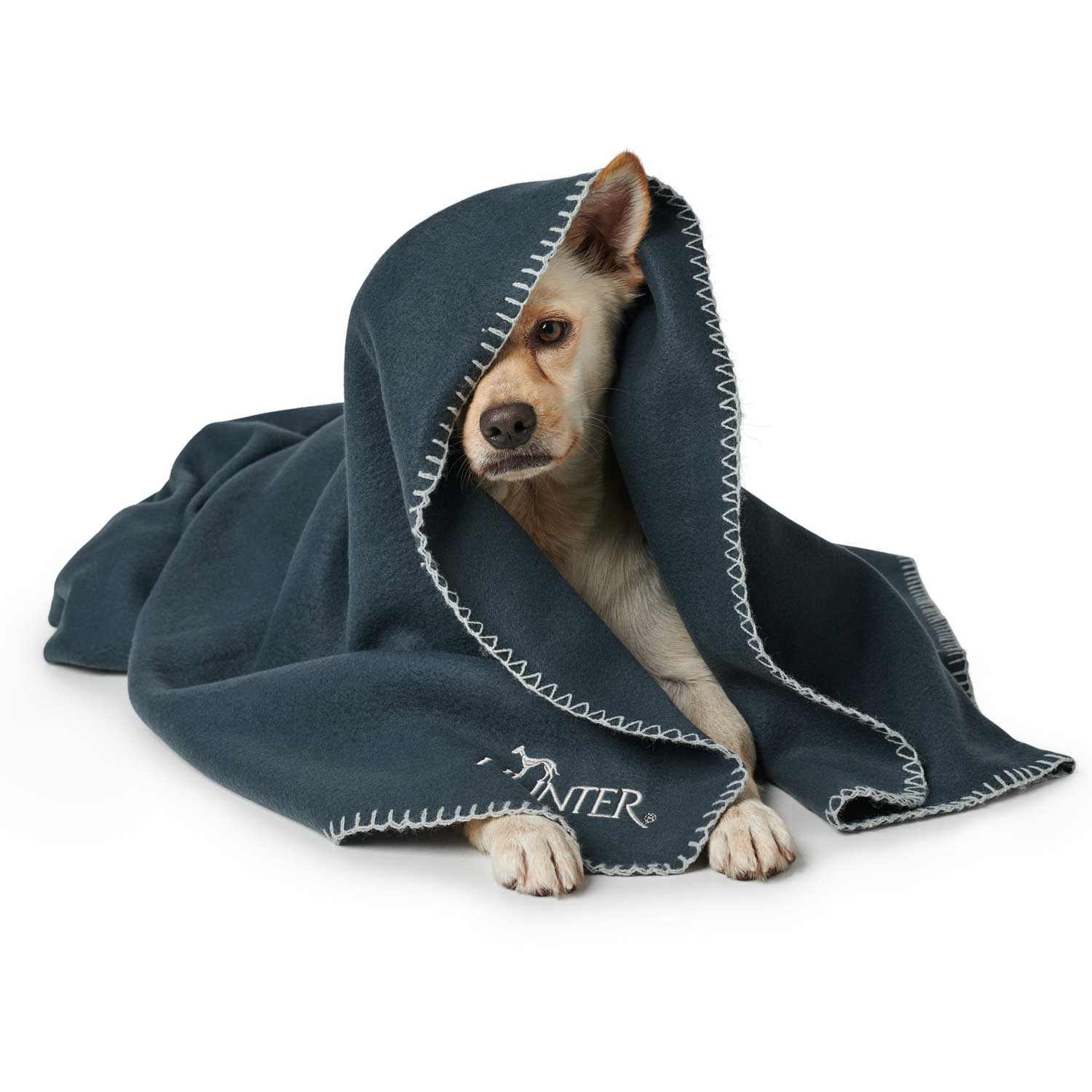 Hunter Koc for Dog Casper XXL - soft, versatile and durable