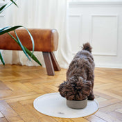 Hunter Ceramic Bowl for Dog Osby - elegant style