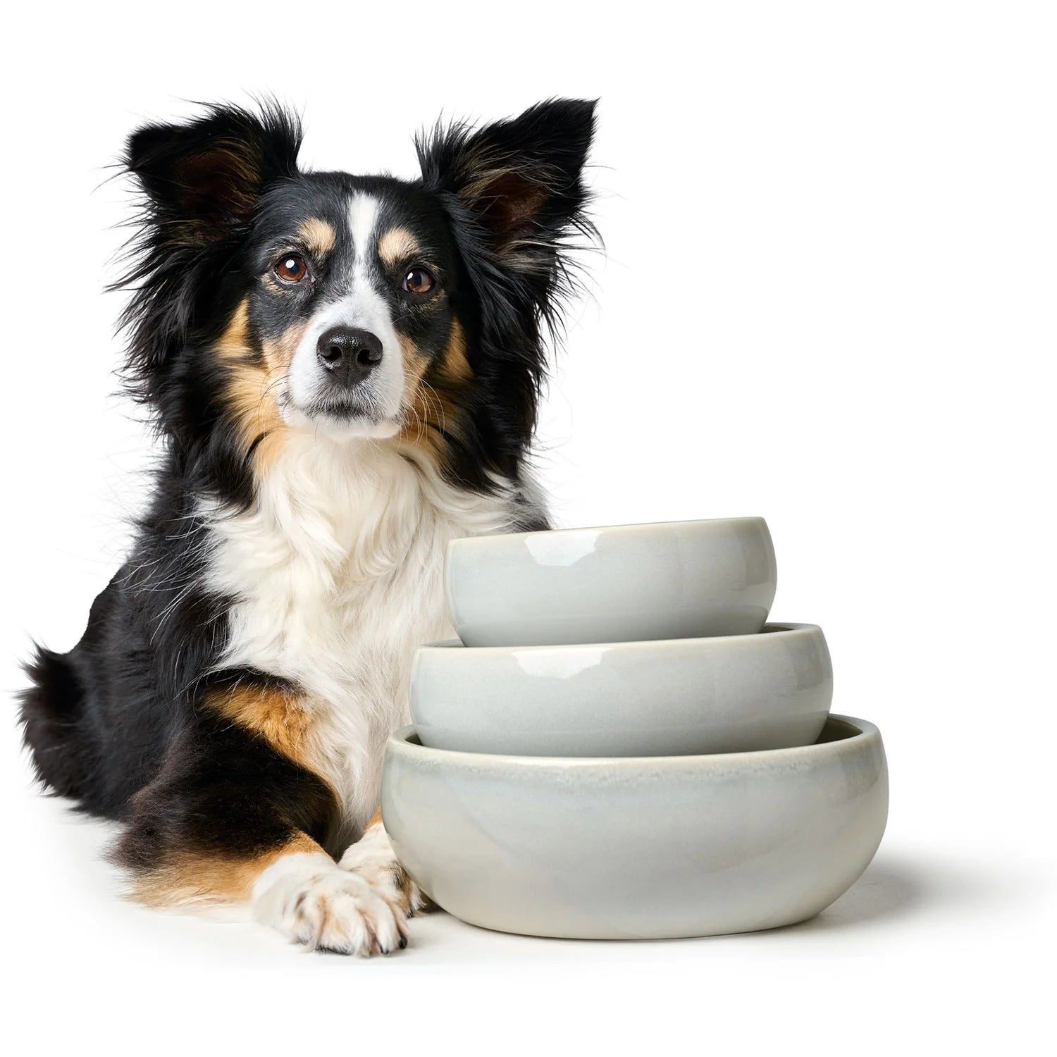 Hunter Ceramic Bowl for Dog Braga - stylish and unique
