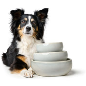 Hunter Ceramic Bowl for Dog Braga - stylish and unique