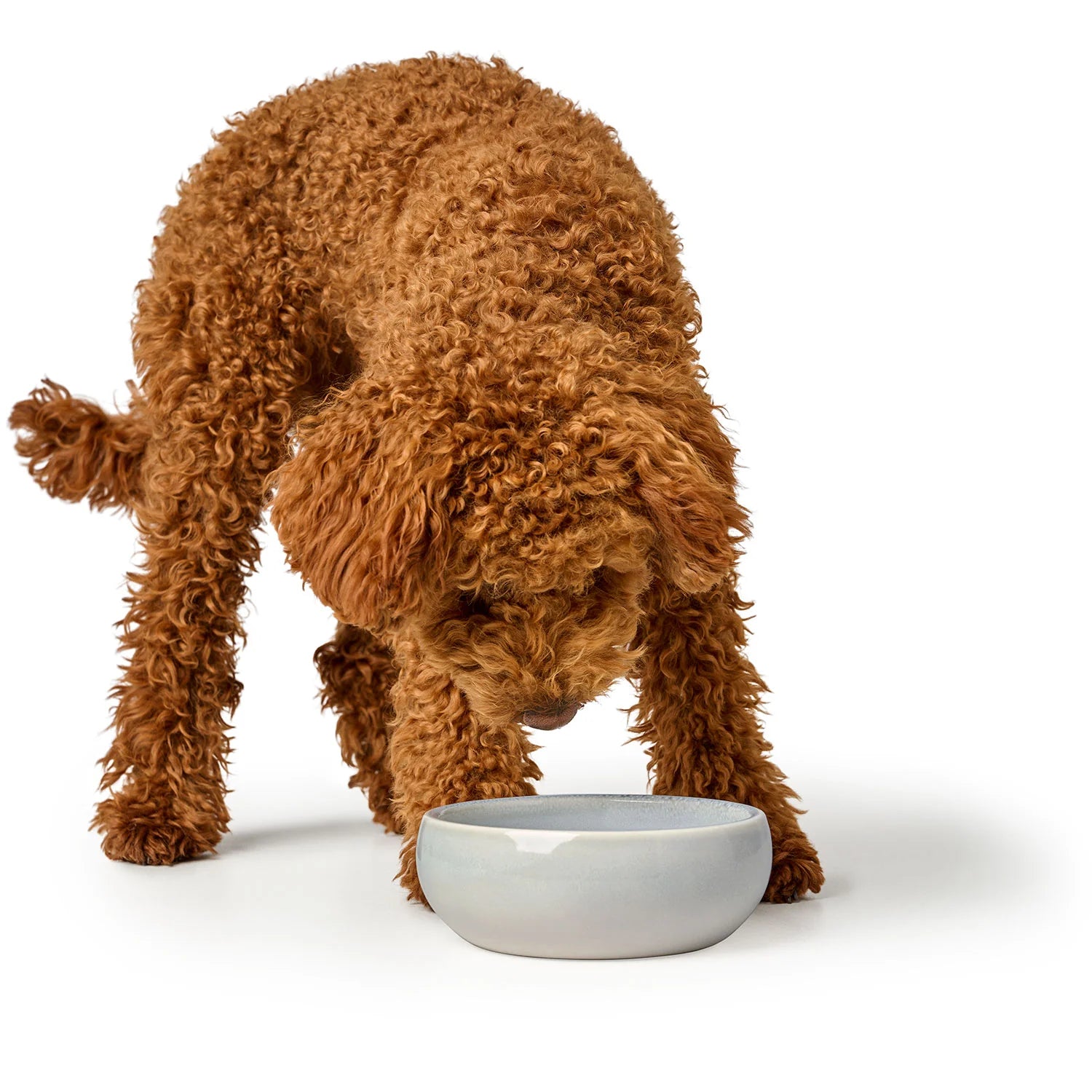 Hunter Ceramic Bowl for Dog Braga - stylish and unique