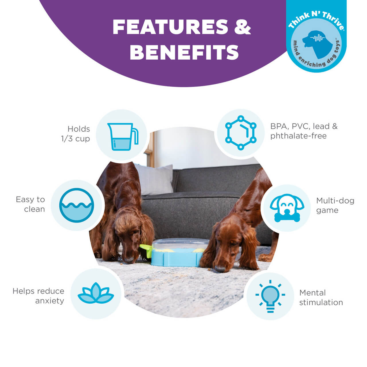 Nina Ottosson Paw N' Play - Interactive Dog Game