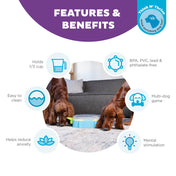 Nina Ottosson Paw N' Play - Interactive Dog Game