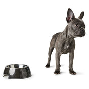 Hunter Burgos dog bowl melamine steel dog bowl