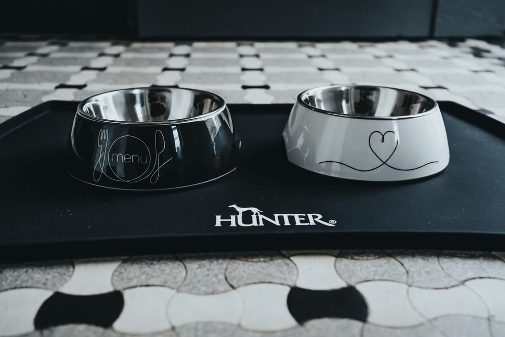Hunter Burgos dog bowl melamine steel dog bowl
