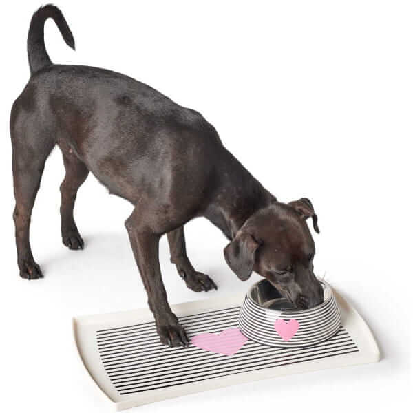 Hunter Biri Melamine Bowl - Non-Slip, 3 Sizes
