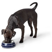 Hunter Melamine Bowl Silda Blue for Dog