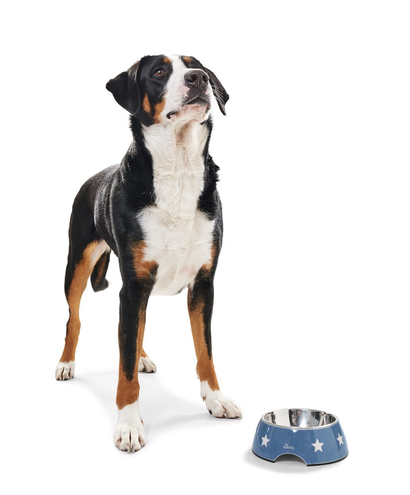 Hunter Melamine Bowl Aarhus – Style and Functionality