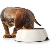 Hunter Melamine Bowl White – Style and Hygiene