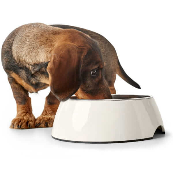 Hunter Melamine Bowl White – Style and Hygiene