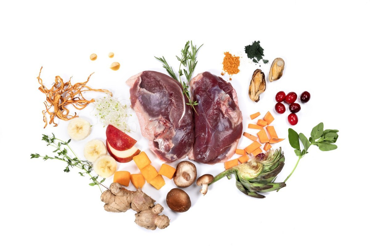 Ydolo Duck kaczka karma półwilgotna dla psa - 75% mięsa, premium