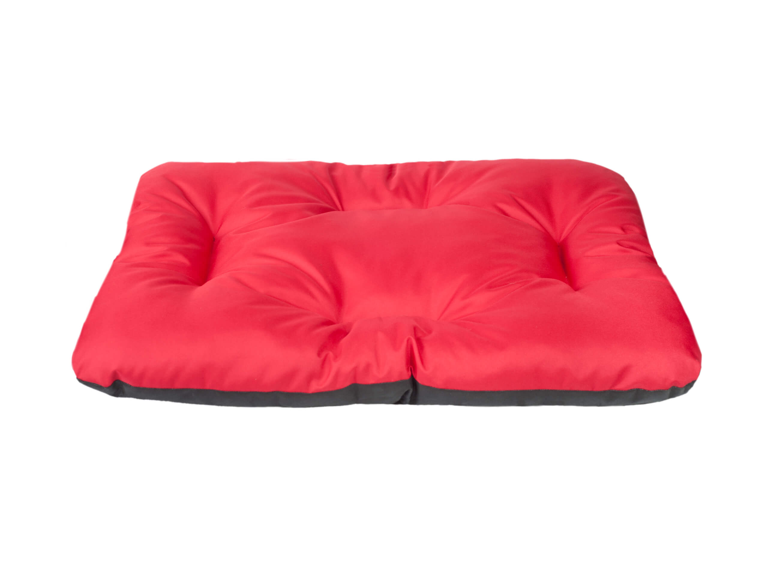 amiplay_Basic_Rectangular_cushion_Red_01.jpg