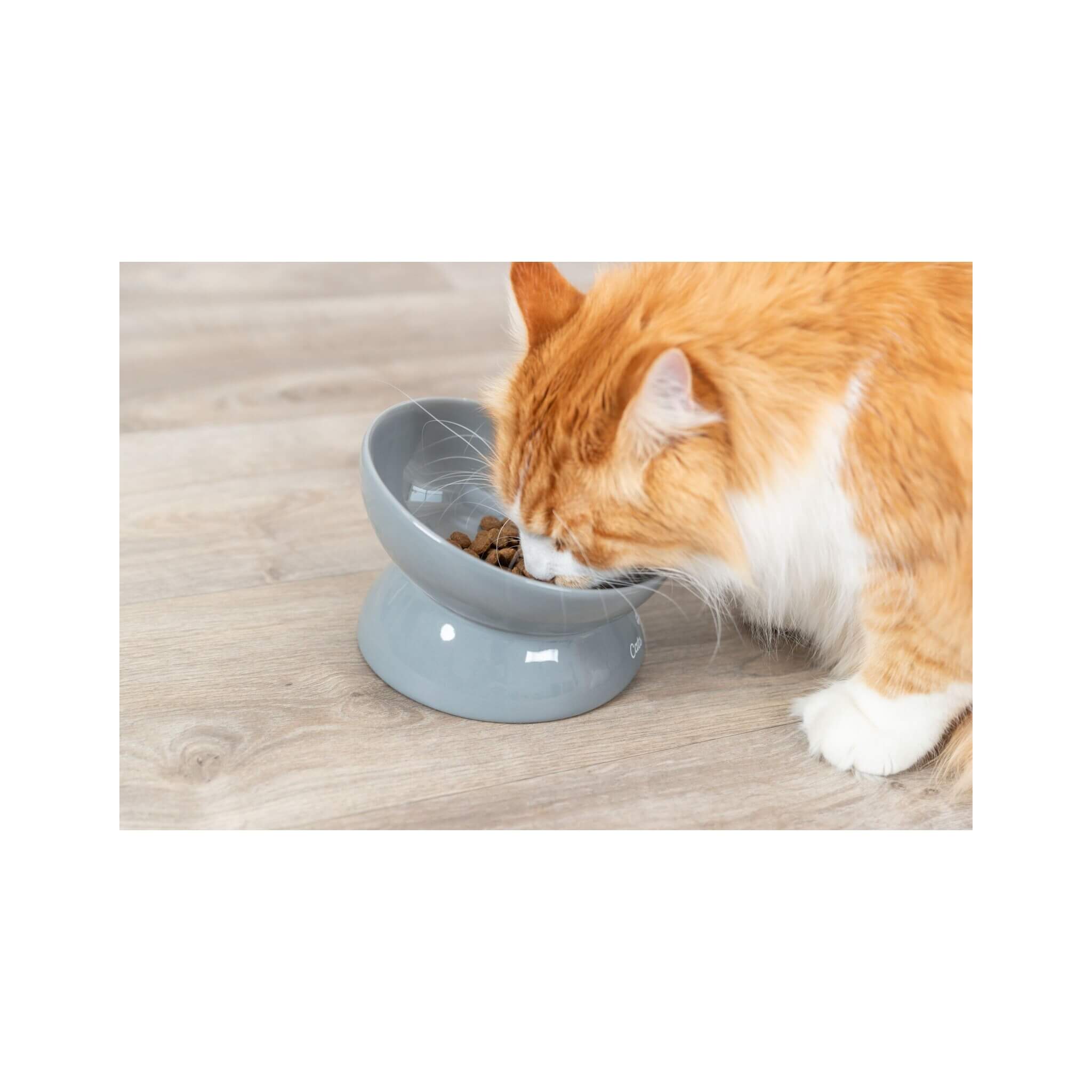XXL ceramic bowl for cat, gray, 0.35 l, ø 17 cm 