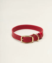"Classy" dog collar - elegance in a minimalist version