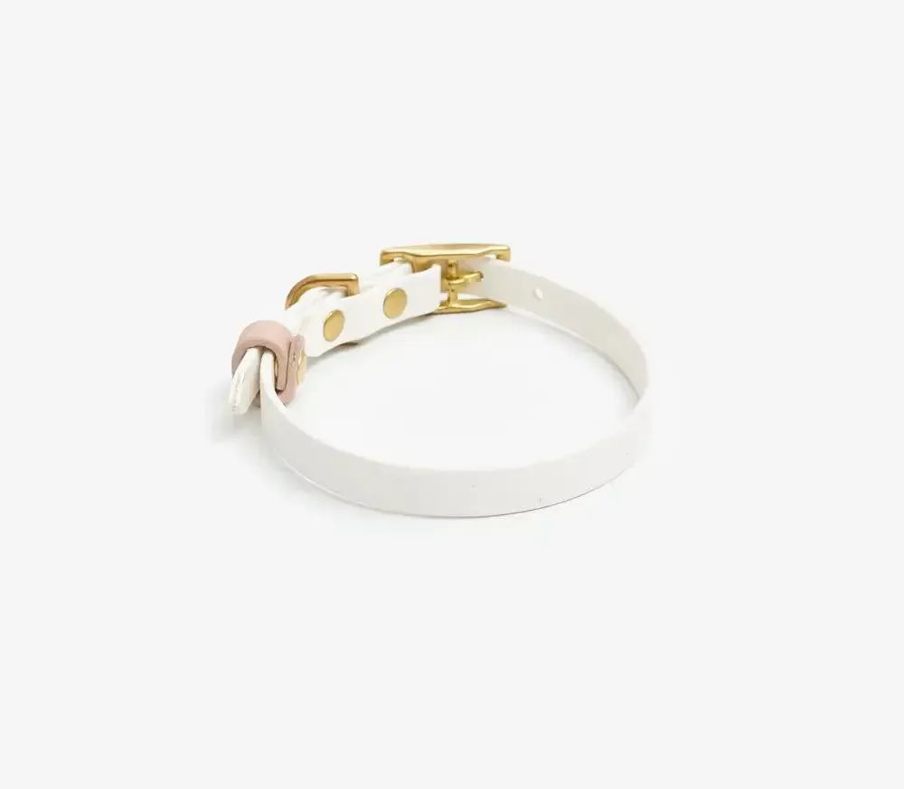 Dog collar "BioThane" in white with powder
