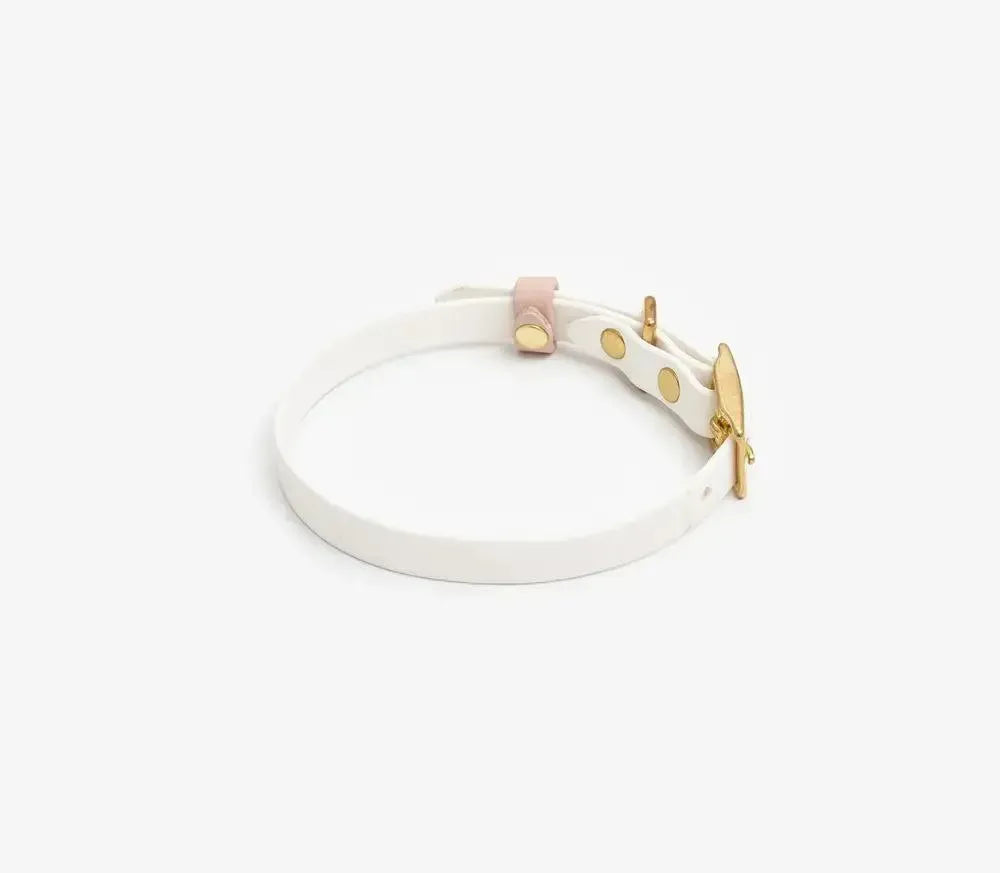 Dog collar "BioThane" in white with powder
