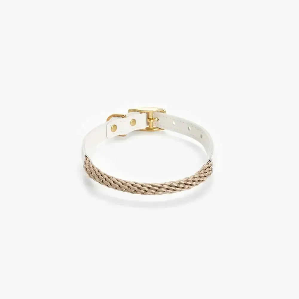 Dog collar with string "Caviar Terra"