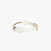 Dog collar with string "Caviar Terra"