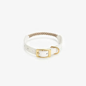 Dog collar with string "Caviar Terra"