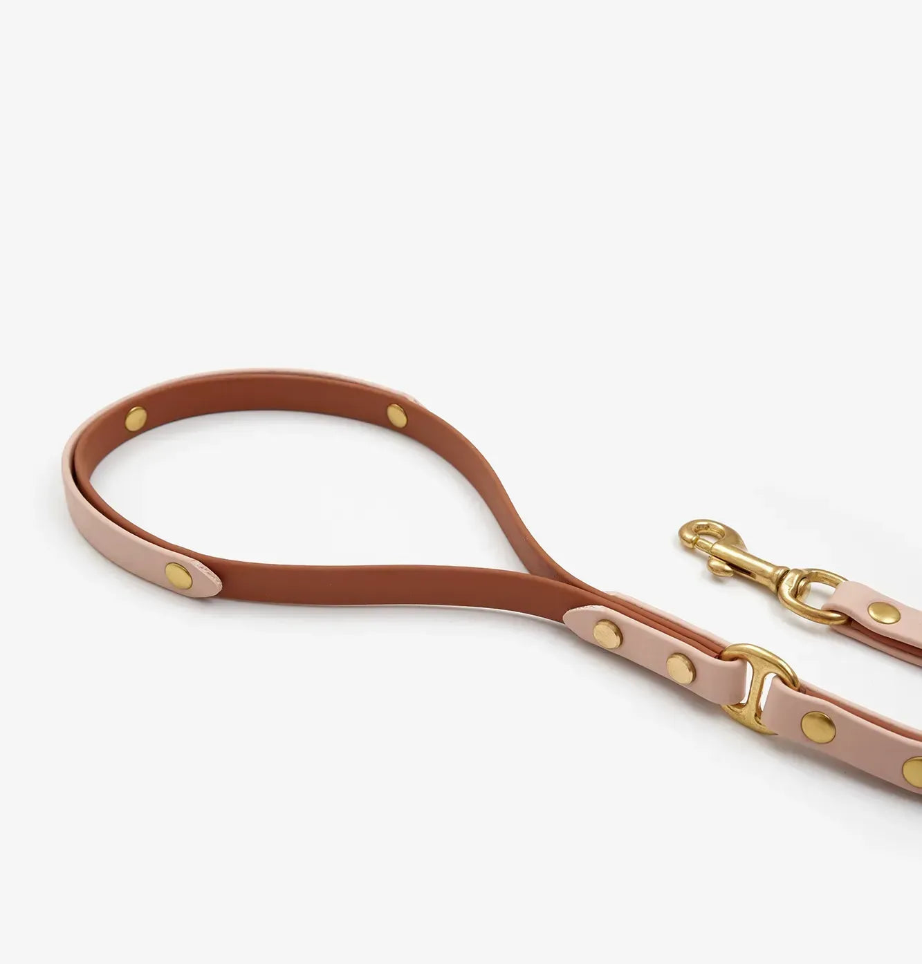 Dog leash "BioThane" - light brown with powder