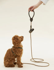 Luxury Classy dog ​​leash olive with beige rope - handmade, premium