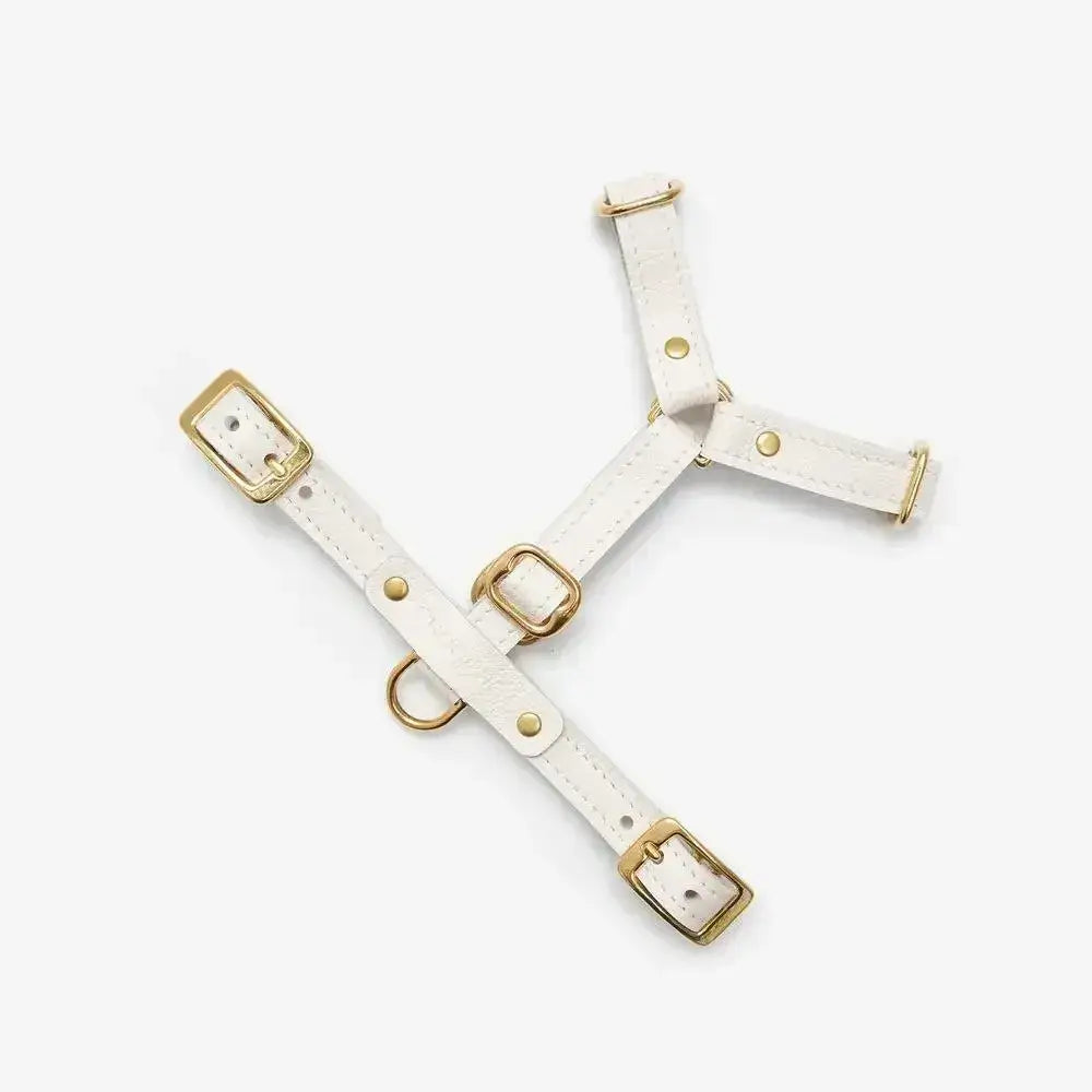 Classy luxury dog ​​harness - handcrafted from premium Italian leather