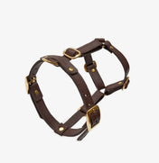 Classy luxury dog ​​harness - handcrafted from premium Italian leather